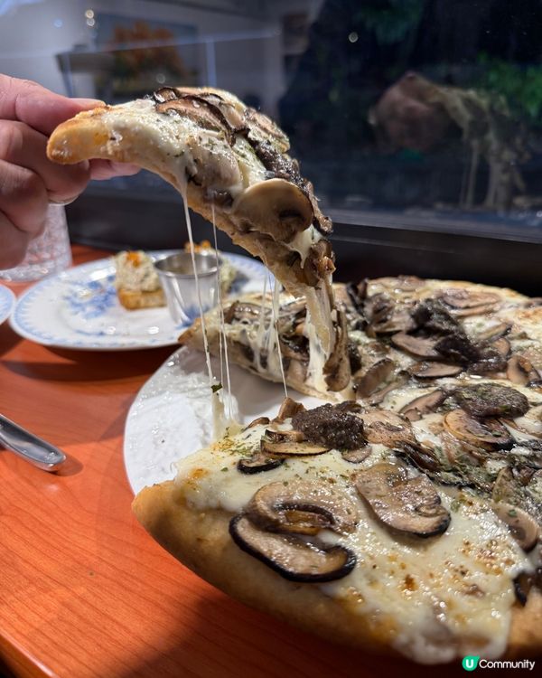 坑口親民小店cafe, 拉絲芝士松露pizza超正