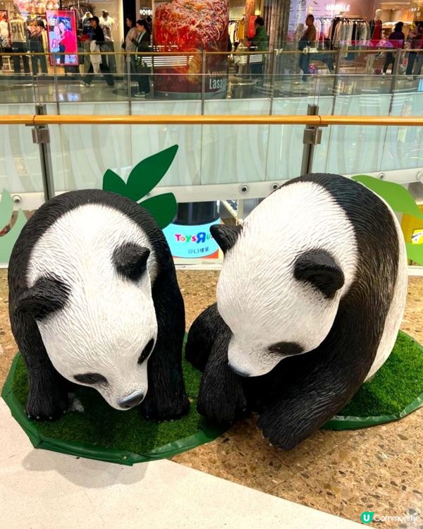 Moko像真熊貓擺設🐼📸✨