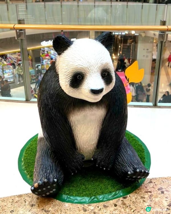 Moko像真熊貓擺設🐼📸✨