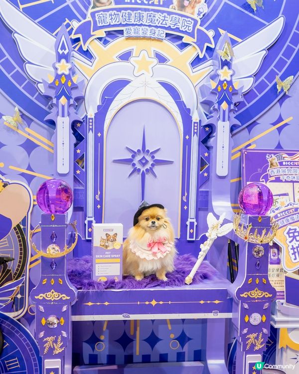 米蘇蘇去寵物展啦🐶🎉 H.I.C.C.PET講暗號拎禮物🎁