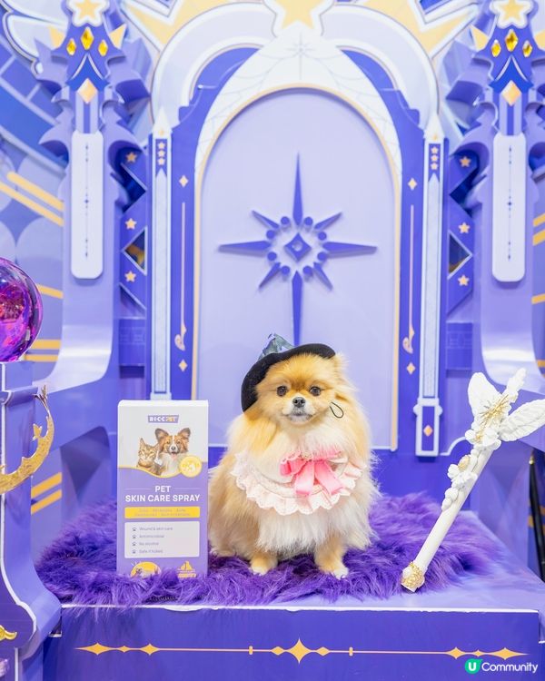 米蘇蘇去寵物展啦🐶🎉 H.I.C.C.PET講暗號拎禮物🎁