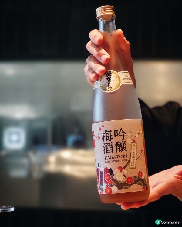 🇯🇵銀座|推介の鰻魚飯三食