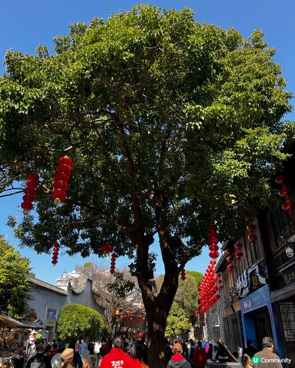 福州三坊七巷，古韻悠悠 🏯✨