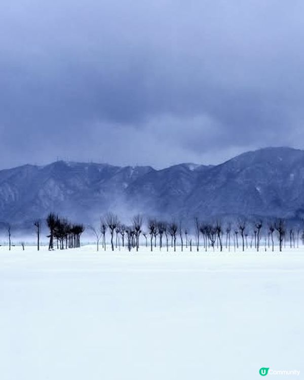 新潟豪雪美景❄️ 出行也要小心！