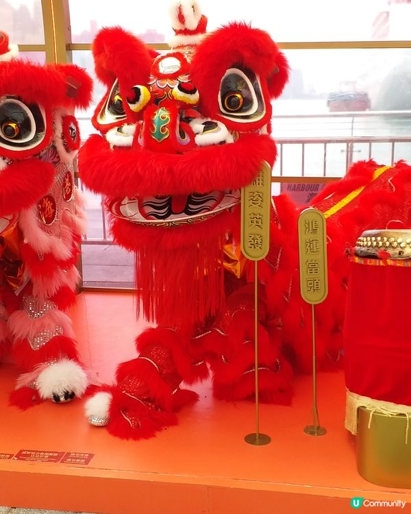 新年遊遊遊