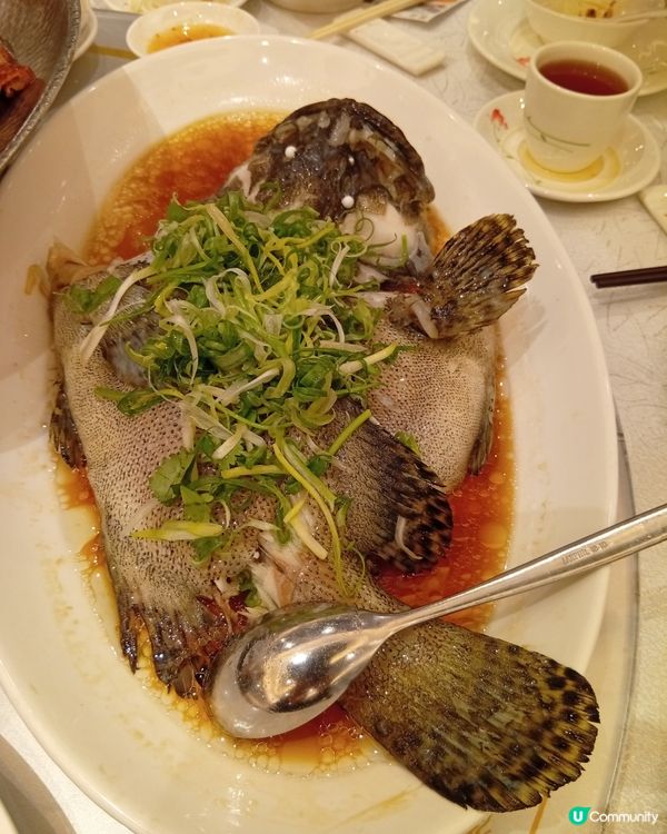 年十二飲茶聚會 🎉，享受好意頭美食