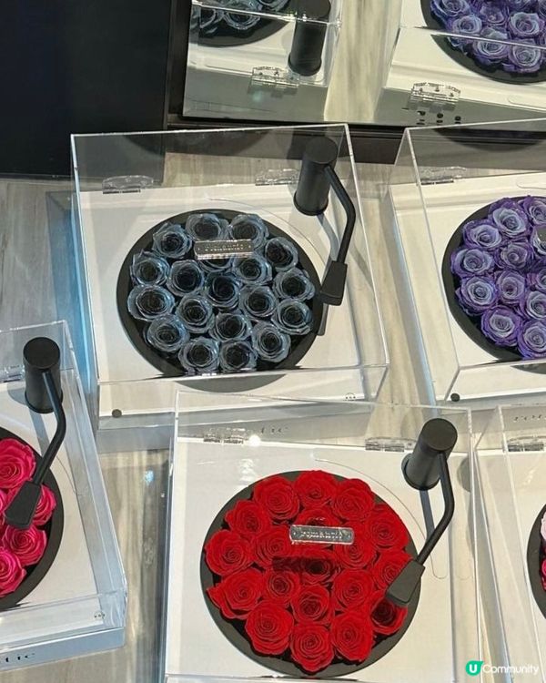 La Bu Bu 保鮮花公仔｜最佳情人節禮物💓