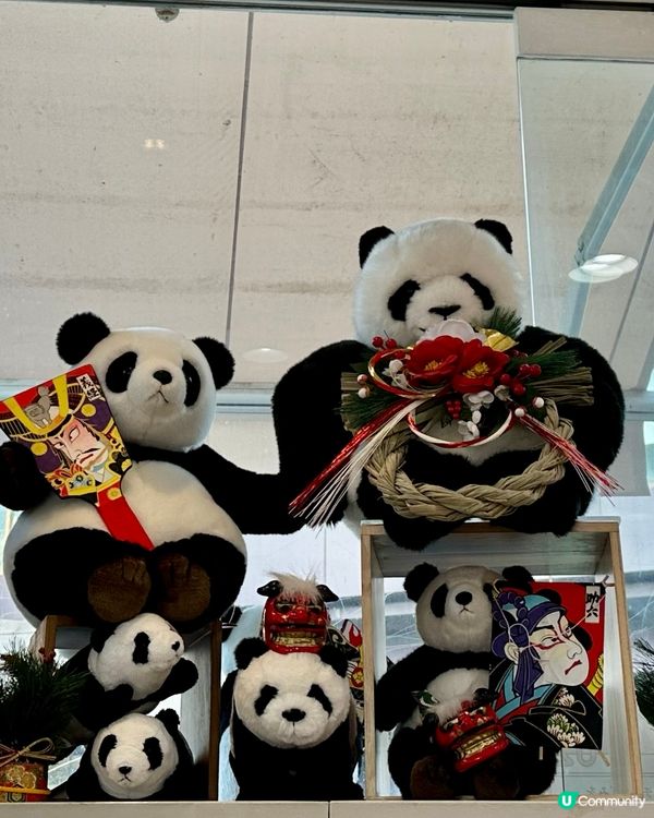 🇯🇵東京上野動物園有幾多隻大熊貓🐼？