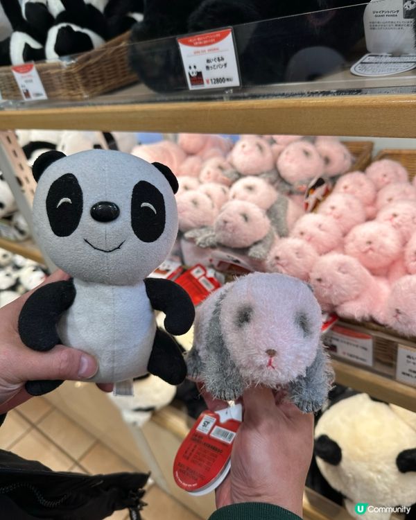 🇯🇵東京上野動物園有幾多隻大熊貓🐼？