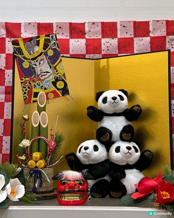 🇯🇵東京上野動物園有幾多隻大熊貓🐼？