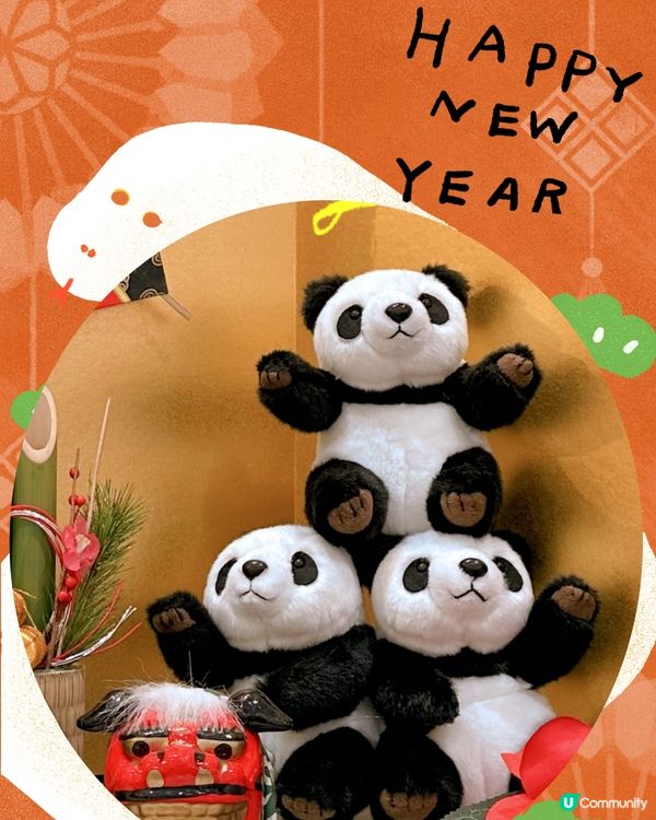 🇯🇵東京上野動物園有幾多隻大熊貓🐼？