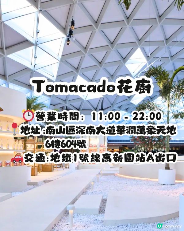 深圳情人節一日遊💘自製油畫蛋糕/香水體驗/靚靚餐廳‼️3大建議