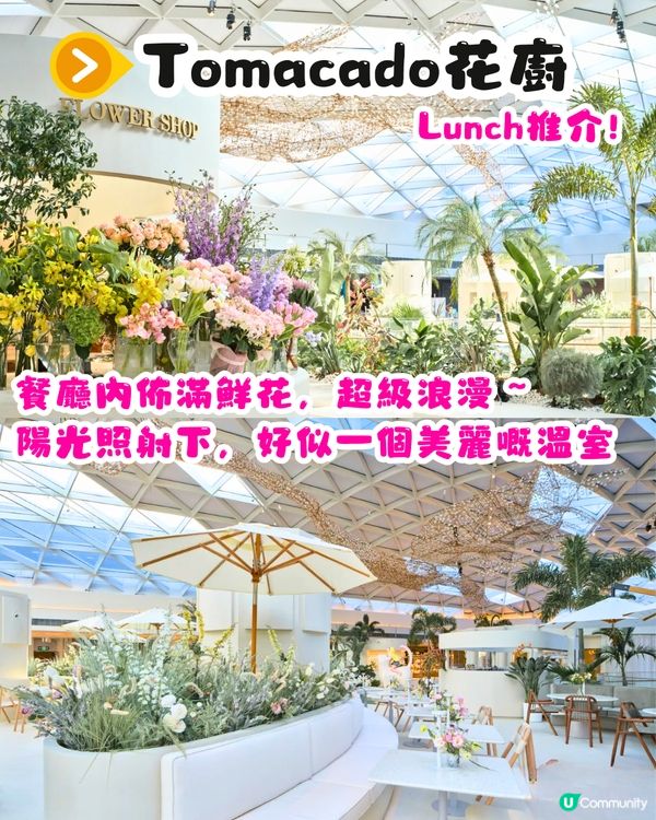 深圳情人節一日遊💘自製油畫蛋糕/香水體驗/靚靚餐廳‼️3大建議