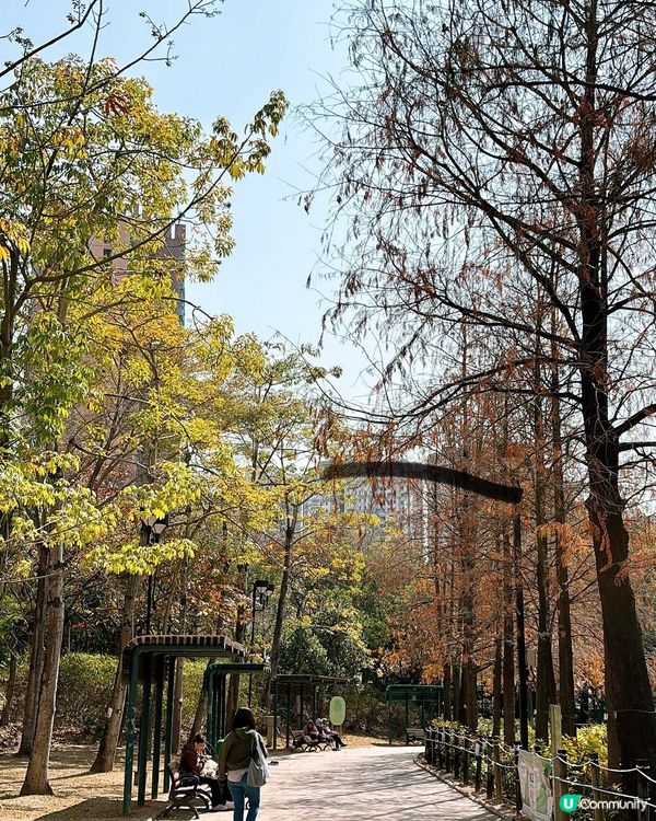 🎏青衣公園小食亭重開‼️應該易咗手，冇咗雞翼尖同韭菜餃🥴