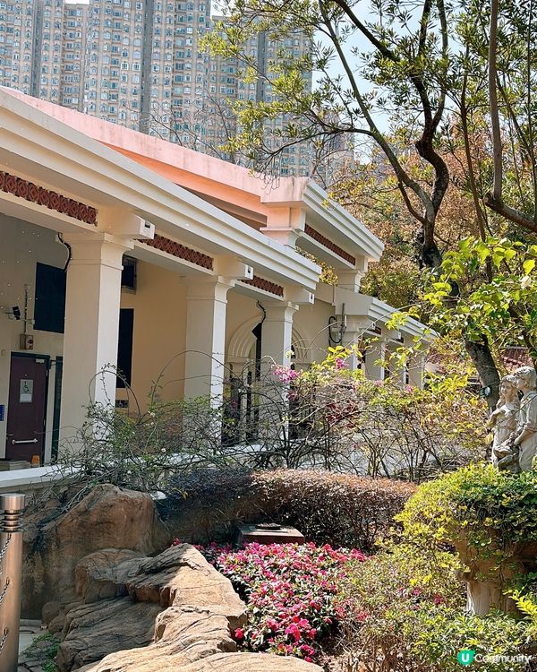 🎏青衣公園小食亭重開‼️應該易咗手，冇咗雞翼尖同韭菜餃🥴