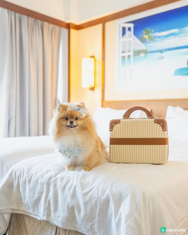 長洲華威酒店🐶🐾 兩日一夜超開心！