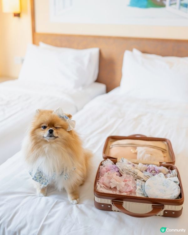 長洲華威酒店🐶🐾 兩日一夜超開心！