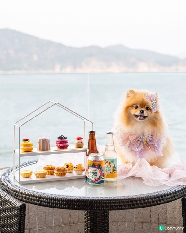 長洲華威酒店🐶🐾 兩日一夜超開心！