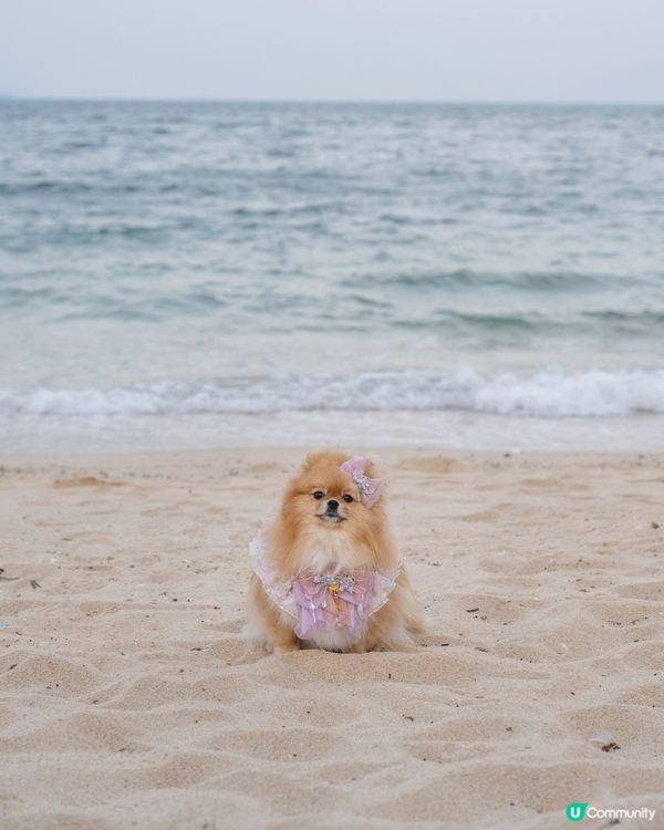 長洲華威酒店🐶🐾 兩日一夜超開心！