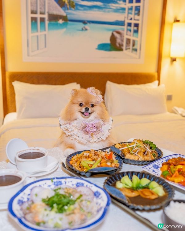 長洲華威酒店🐶🐾 兩日一夜超開心！