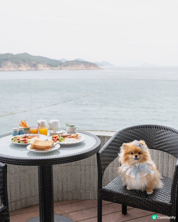 長洲華威酒店🐶🐾 兩日一夜超開心！