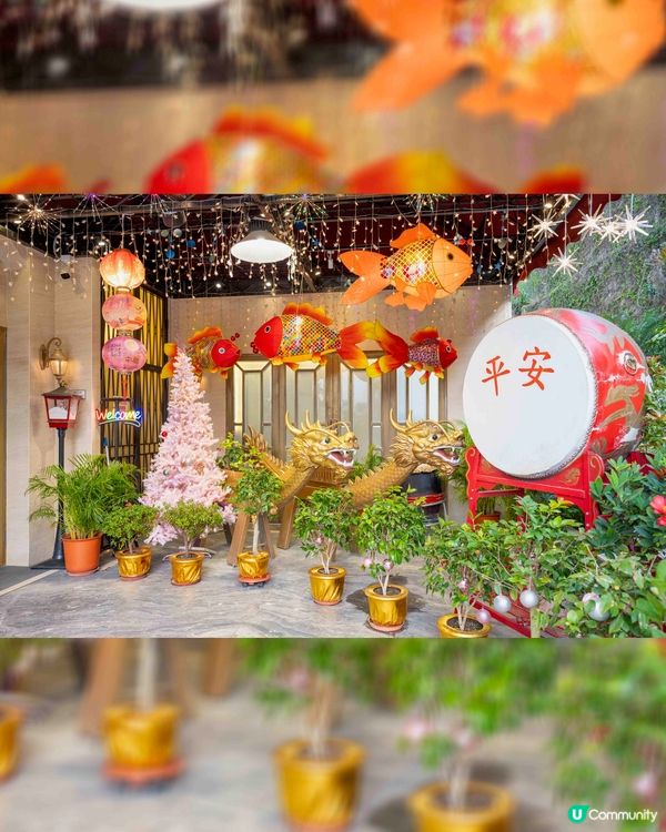 長洲華威酒店🐶🐾 兩日一夜超開心！