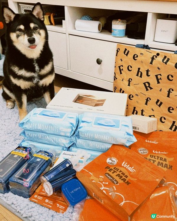 🐶🐶 2025寵物展戰利品🐱🐱