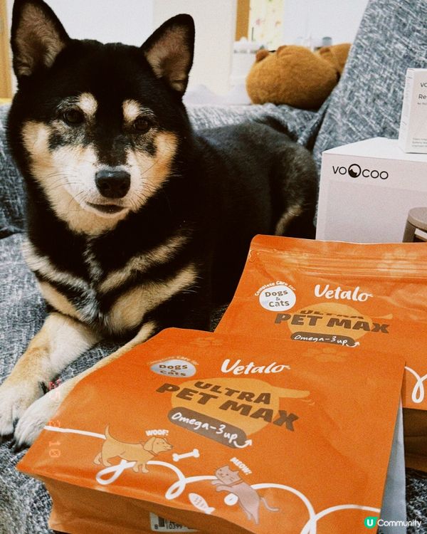 🐶🐶 2025寵物展戰利品🐱🐱