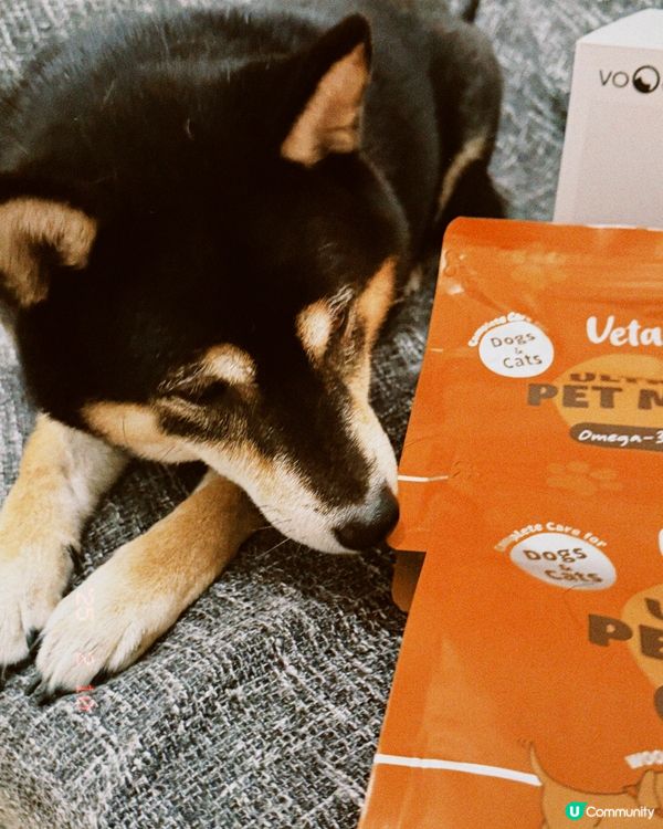 🐶🐶 2025寵物展戰利品🐱🐱