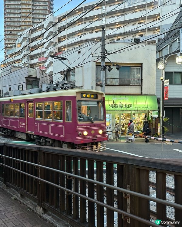 🇯🇵東京年輕人熱點🧐｢巢鴨地藏通商店街｣🎯