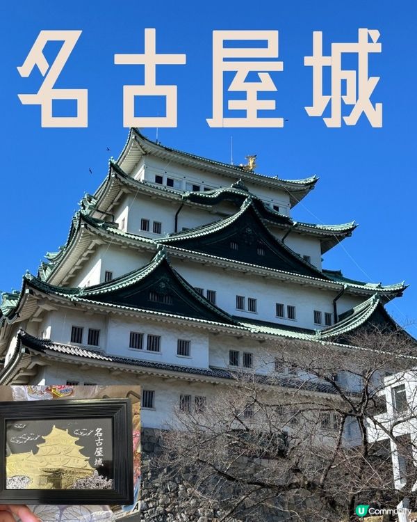 🇯🇵名古屋城-老少咸宜必到點📸