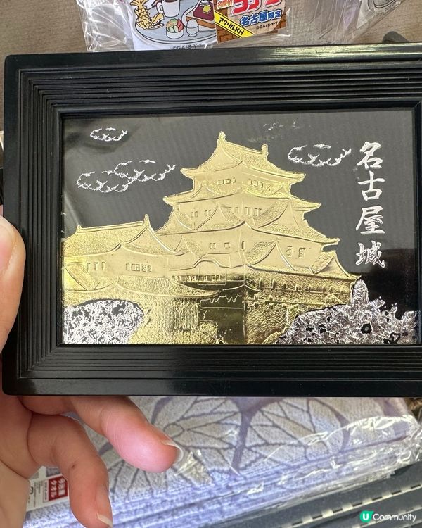 🇯🇵名古屋城-老少咸宜必到點📸