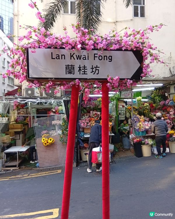 蘭桂坊打卡，充滿農曆新年氛圍！🏮🎉