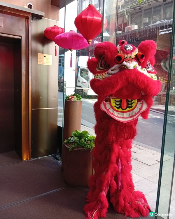 蘭桂坊打卡，充滿農曆新年氛圍！🏮🎉