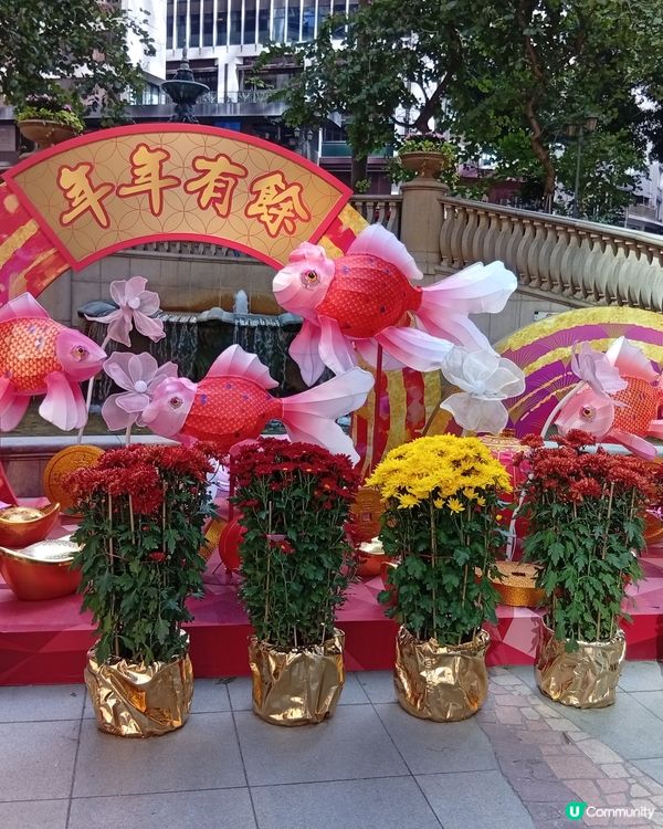 蘭桂坊打卡，充滿農曆新年氛圍！🏮🎉