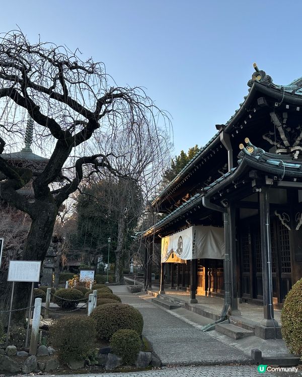 🇯🇵 東京年輕人❤️‍🔥新熱點—世田谷區三軒茶屋☀️