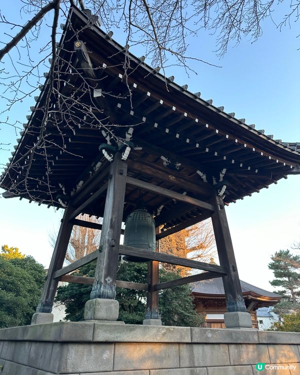 🇯🇵 東京年輕人❤️‍🔥新熱點—世田谷區三軒茶屋☀️