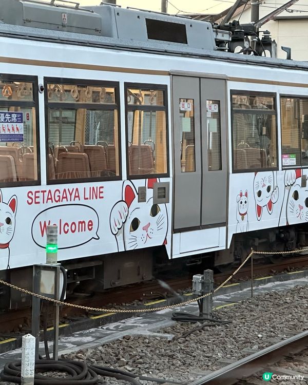 🇯🇵 東京年輕人❤️‍🔥新熱點—世田谷區三軒茶屋☀️