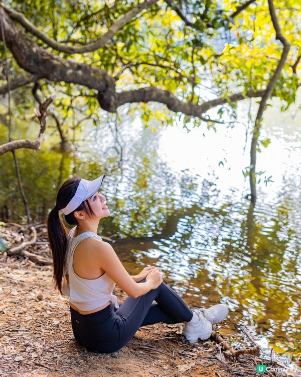 落 羽 松 之 流 水 響 水 塘🍂🍁