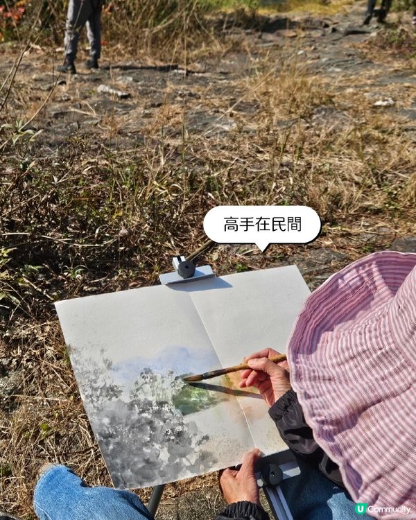 落 羽 松 之 流 水 響 水 塘🍂🍁