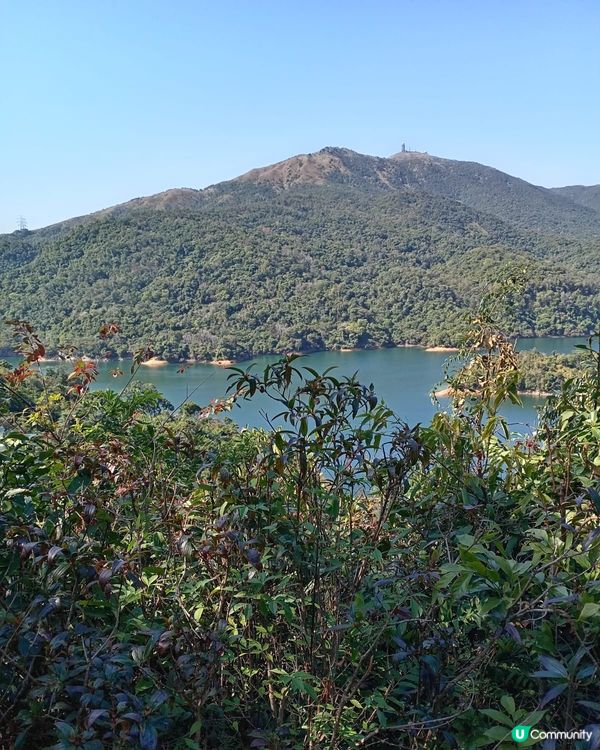 ## 香港山系，自然驚喜！🤩⛰️