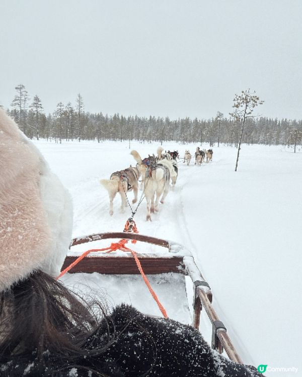 限時 官網特價坐雪橇！