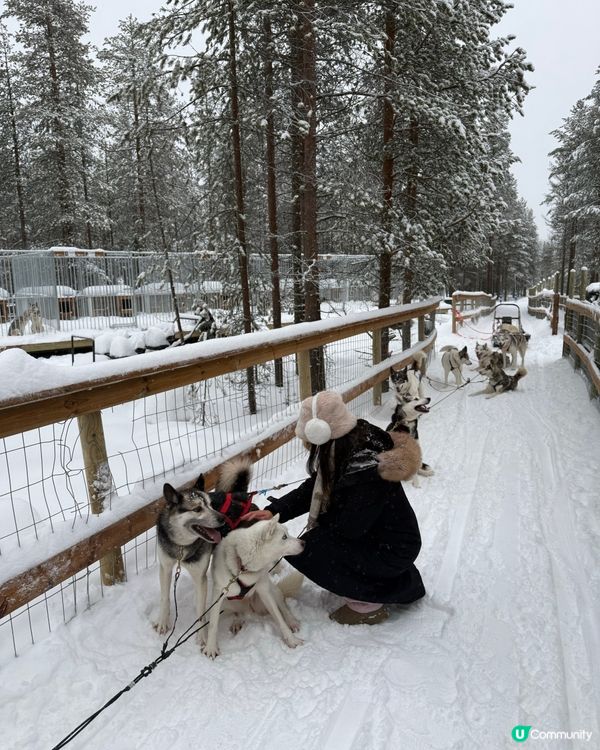 限時 官網特價坐雪橇！