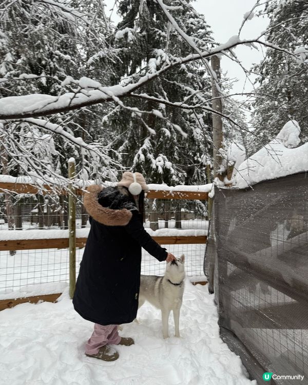 限時 官網特價坐雪橇！