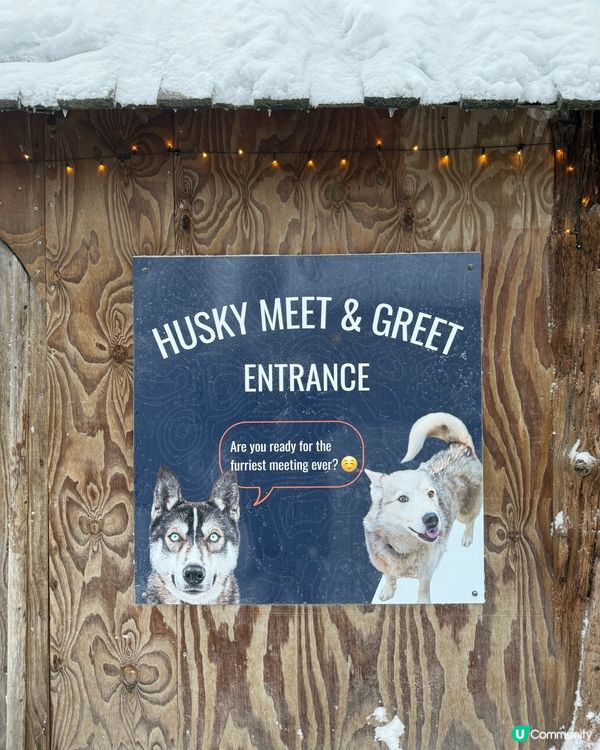 限時 官網特價坐雪橇！