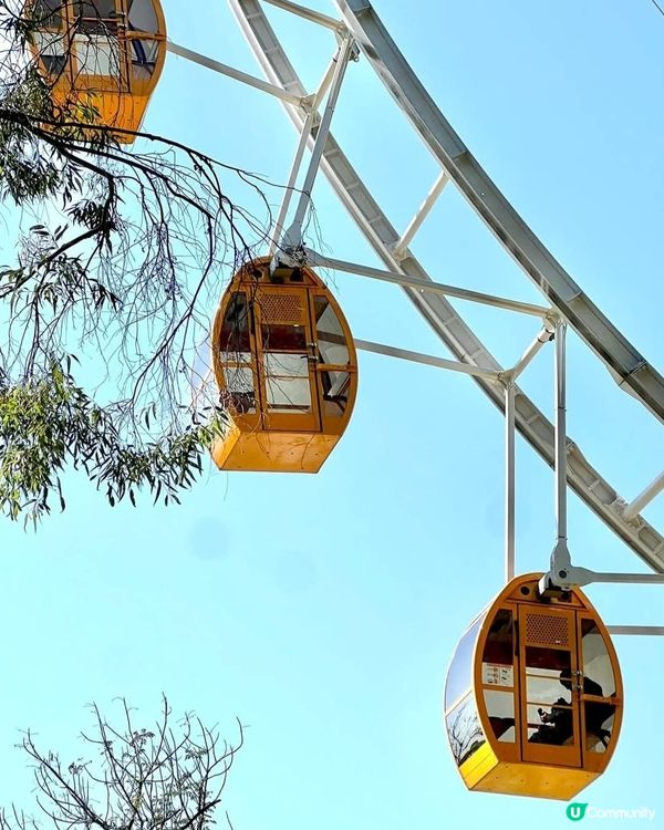 紫馬嶺公園散步