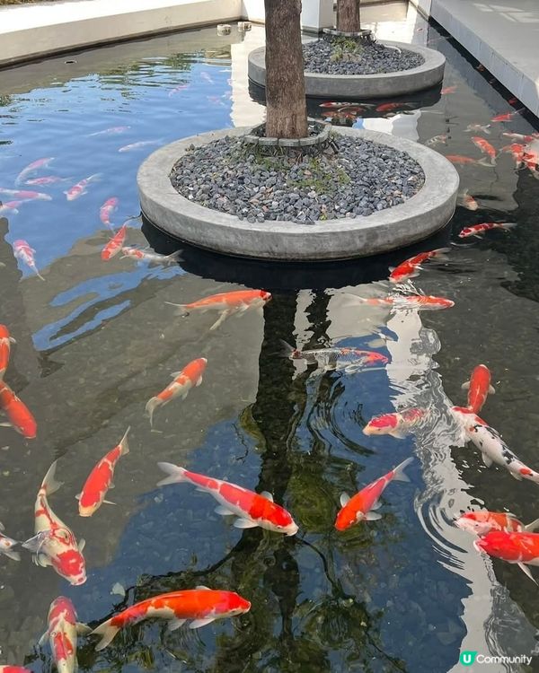 紫馬嶺公園散步