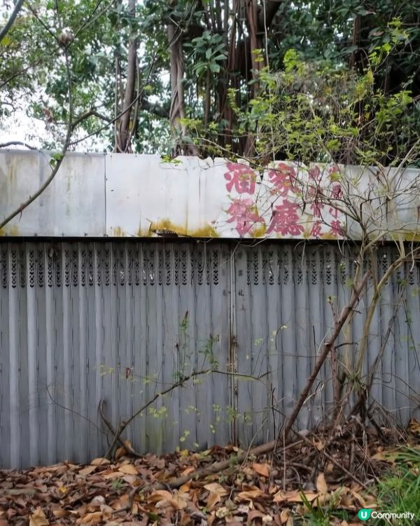 荒廢多年鄉村酒家已經被大自然隱蔽