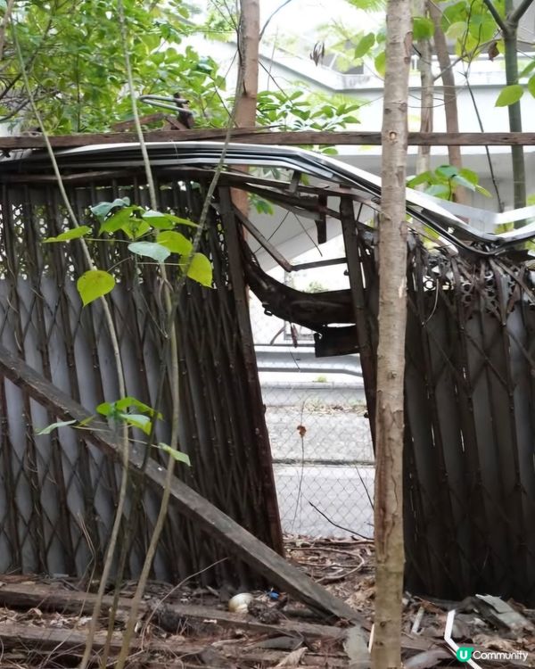 荒廢多年鄉村酒家已經被大自然隱蔽