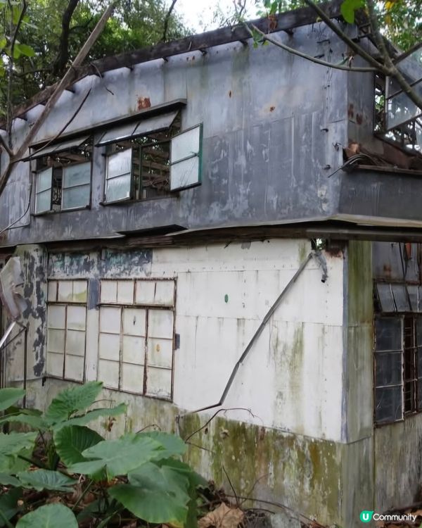 荒廢多年鄉村酒家已經被大自然隱蔽